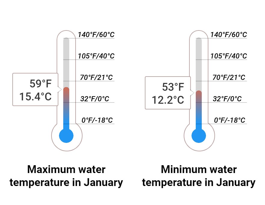 Average Sea temperature